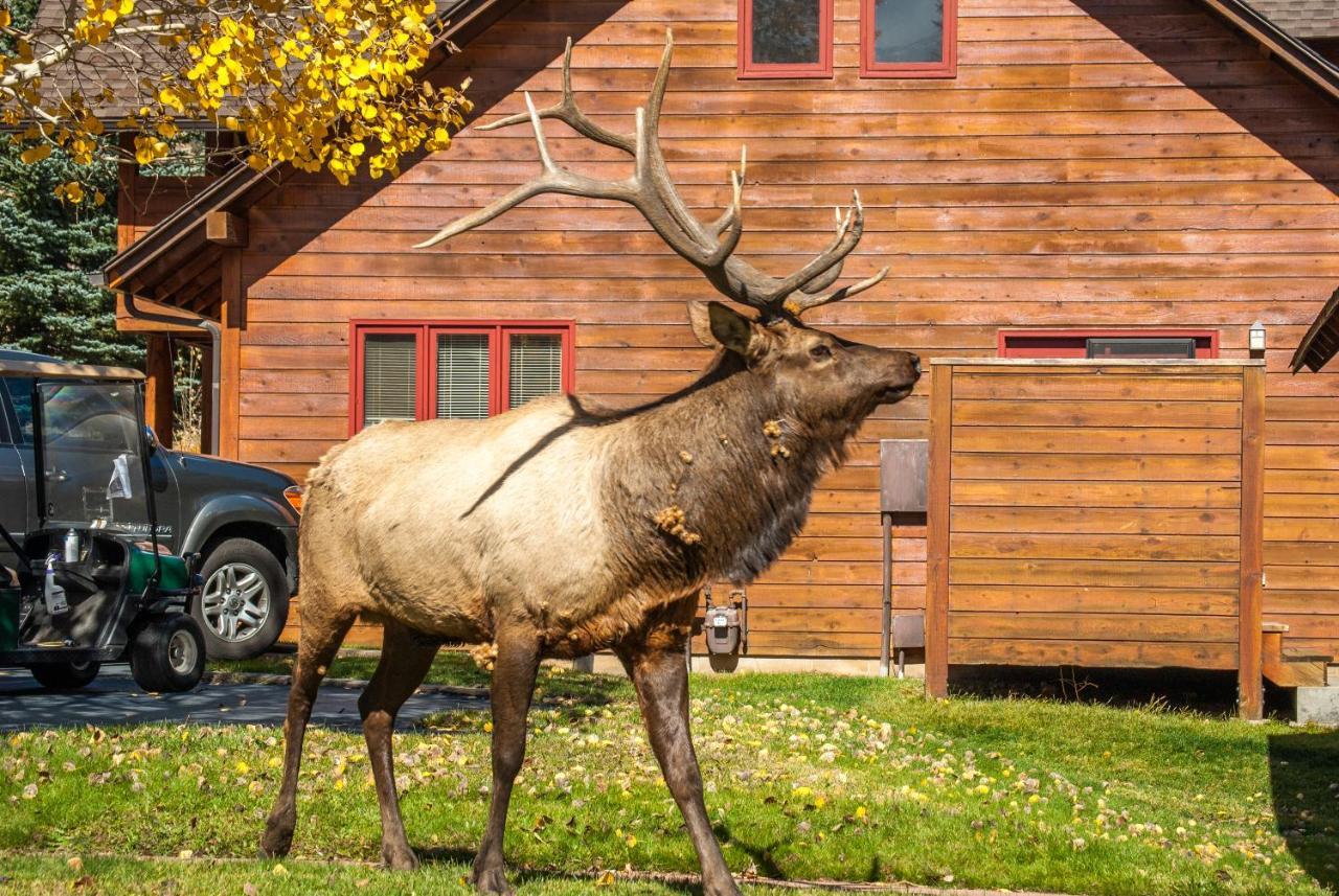 Rams Horn Village Resort استيس بارك المظهر الخارجي الصورة